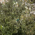 Lovely Tuscan 아파트