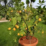 Lovely Tuscan 아파트 *